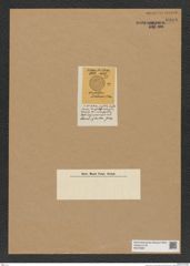 Diatomeae indet. Zeichnungen Sammlung Grunow Nr. 8988 (NHMW-BOT-W0378687)